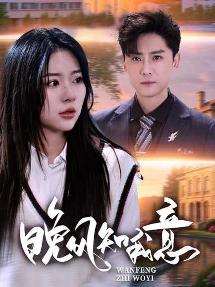 晚风知我意（50集）金瑶&杨泽琳 高清完整版