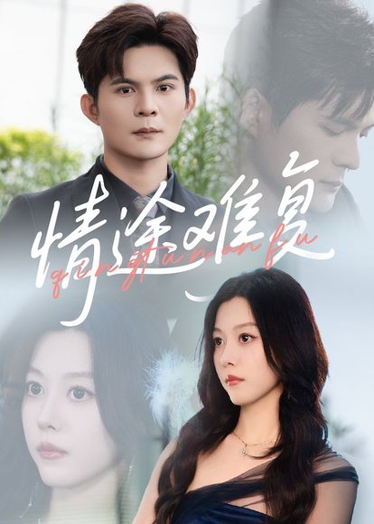 情途难复（50集） 高清完整版