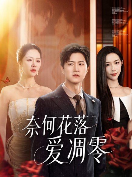 奈何花落爱凋零（71集）钟莹玲&王鹏 高清完整版